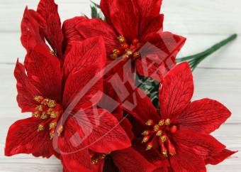 Kytica vianočná ruža x6  JX1666