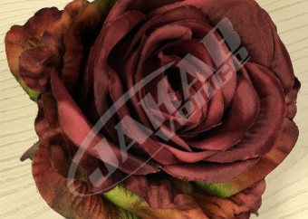 Ruža vencová JX1921-20
