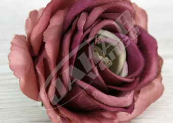Ruža vencová JX1921-17