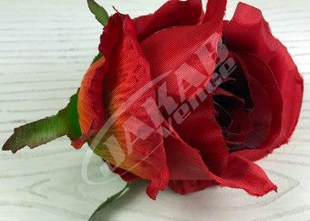 Ruža vencová  JX1267-33