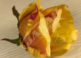 Ruža vencová  JX1267-30
