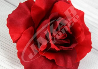 Ruža vencová  XYL001-19