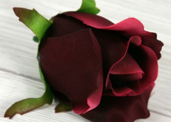 Ruža vencová  JX1910-34