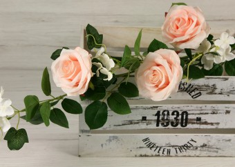 Vetva ruža hortenzia x6  YX1024