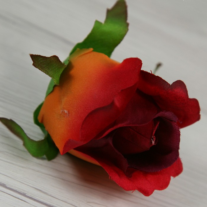 Ruža vencová  JX1910-58